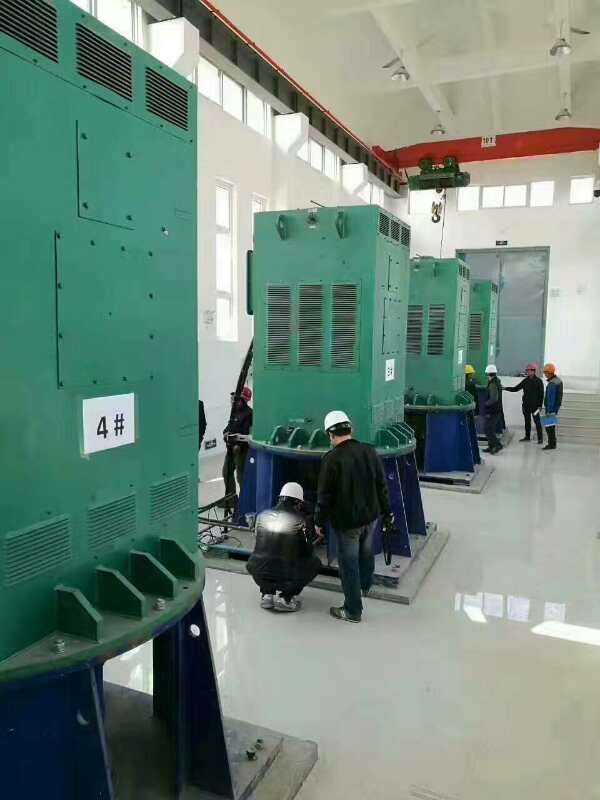 内蒙古某污水处理厂使用我厂的立式高压电机安装现场