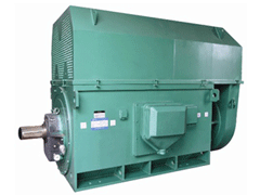内蒙古Y系列6KV高压电机